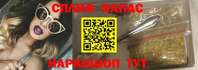 эйфоретик Малгобек